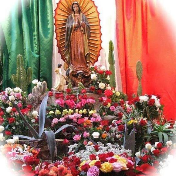 angelicarocheta